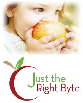 Just the Right Byte Blog